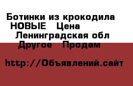 Ботинки из крокодила / НОВЫЕ › Цена ­ 60 000 - Ленинградская обл. Другое » Продам   